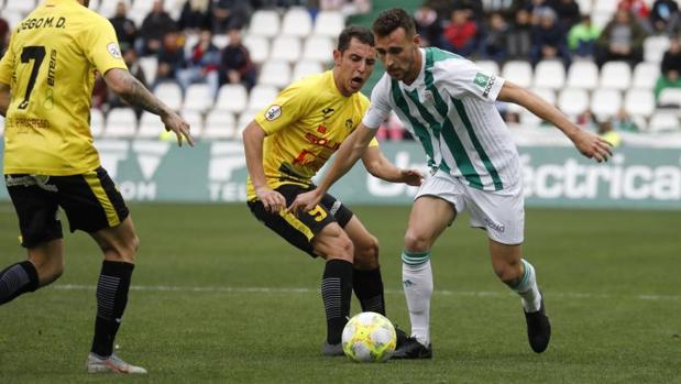 Córdoba CF | El mediocentro defensivo, una posición maldita en el último tiempo