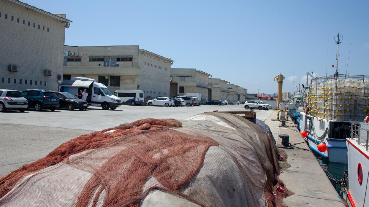 Imagen tomada en el muelle pesquero del puerto de Algeciras, donde se realizaron los registros