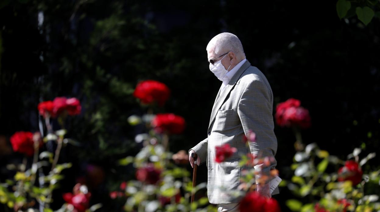 Un hombre pasea con mascarilla durante los primeros días de la desescalada en Córdoba