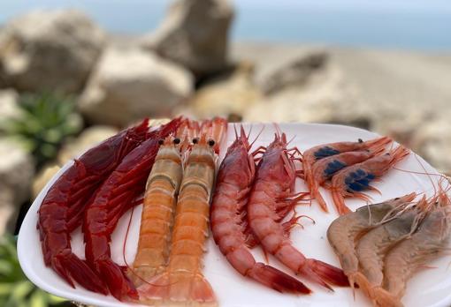 Plato de mariscos en El Saladero