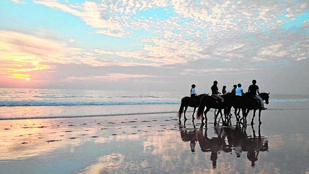 Rutas ecuestres por Cádiz y Huelva: cabalgando frente al mar