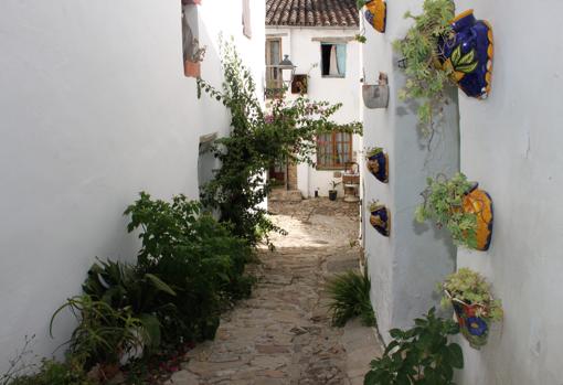 Calles encaladas con macetas y flores, típicas de la localidad vieja