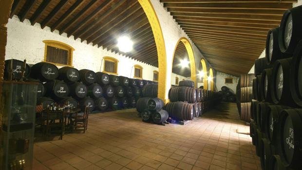 Vino y patrimonio en el Condado de Huelva: la suma perfecta