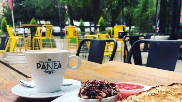 ¿Dónde empezar el día con los mejores desayunos a base de tostadas en Córdoba?