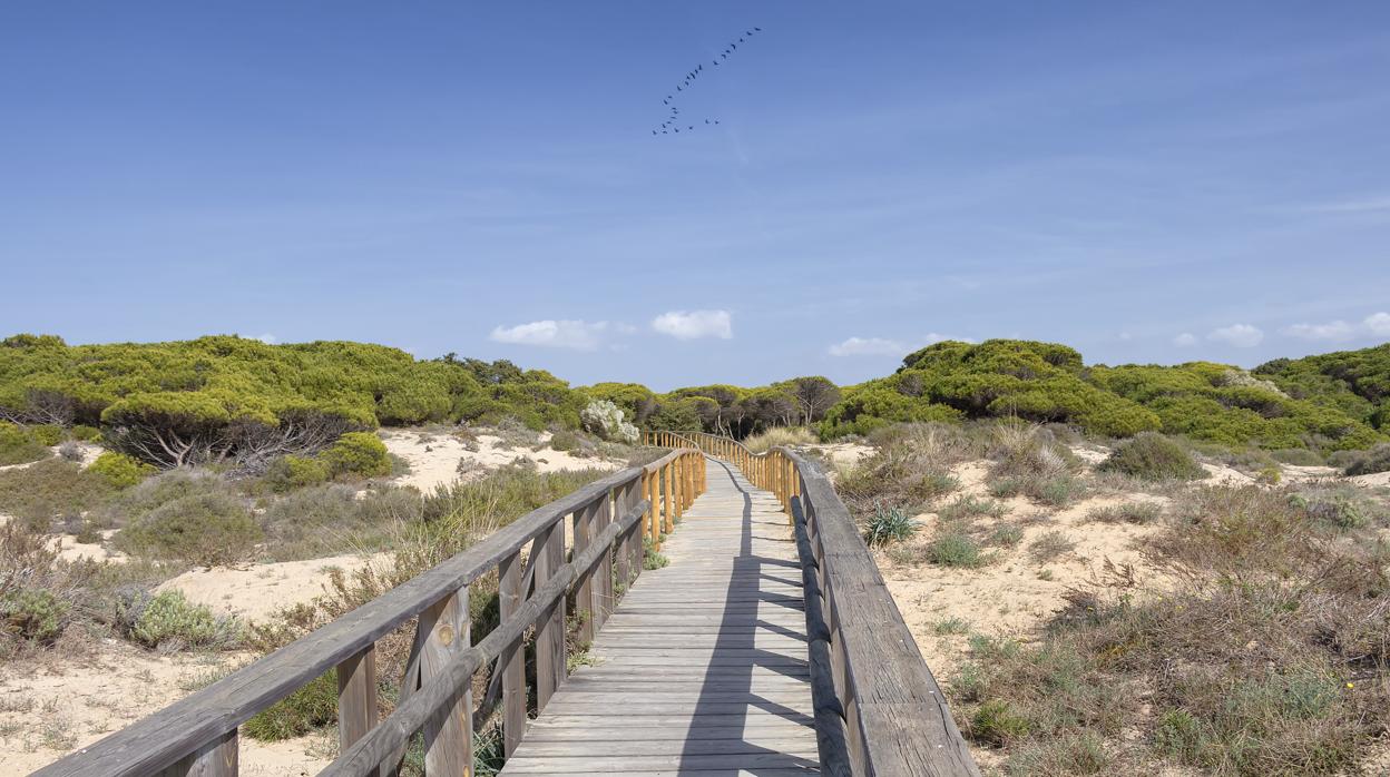 Playa de la costa onubense