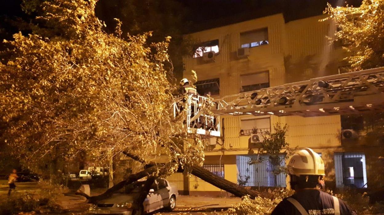 Daños de la tormenta este martes en Córdoba