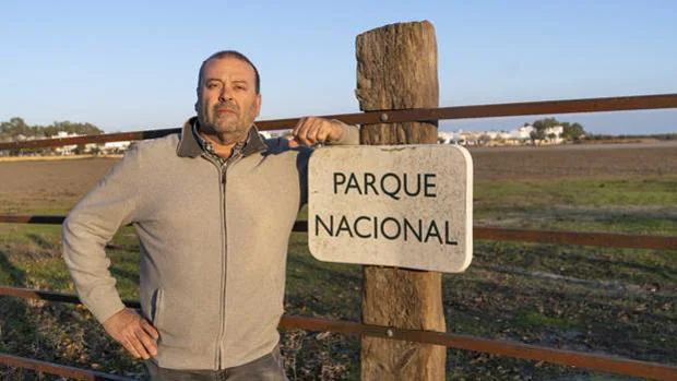 Investigan al director y a tres funcionarios del Parque Nacional de Doñana por presuntas actuaciones ilegales
