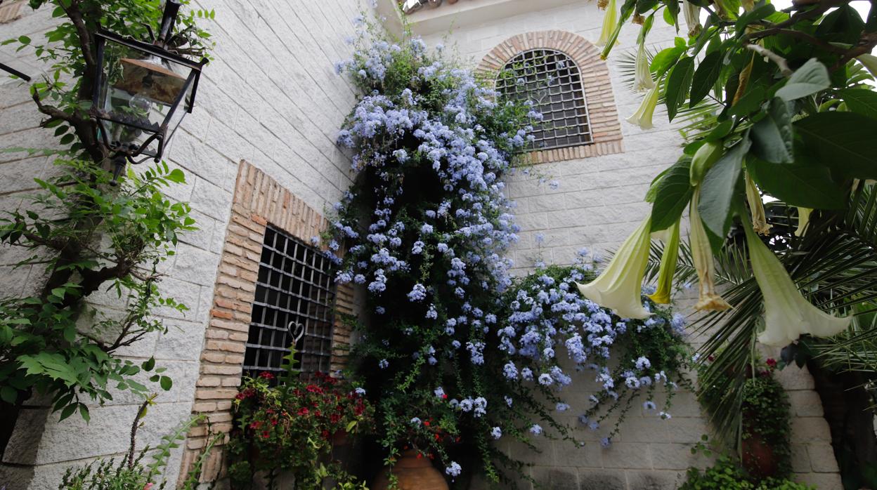 El interior de un patio en la calle aceite, cerrado por la pandemia