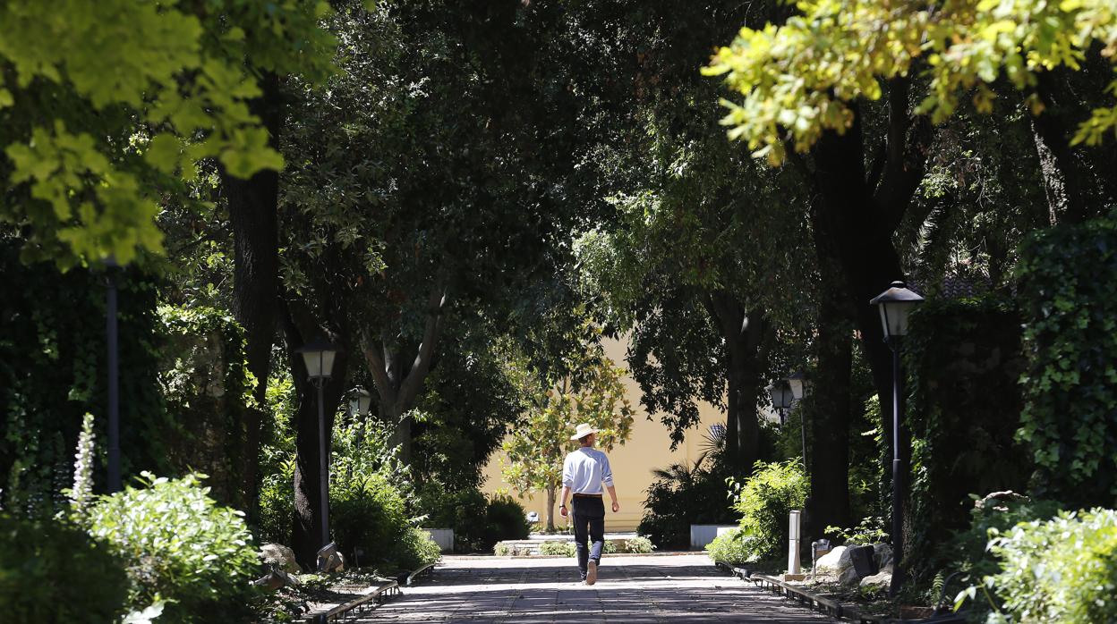 Un visitante al Jardín Botánico de Córdoba