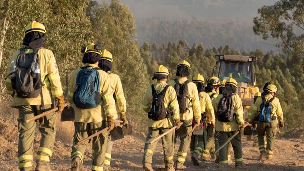 Estabilizado el incendio de Huelva, que ha quemado unas 12.000 hectáreas