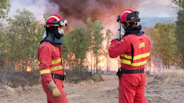 Estabilizado el incendio de Huelva tras cinco días de lucha