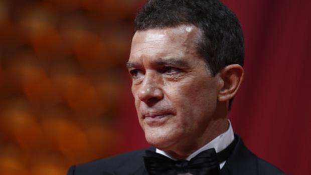 Antonio Banderas, medalla de honor de la SGAE por su compromiso con la sociedad civil