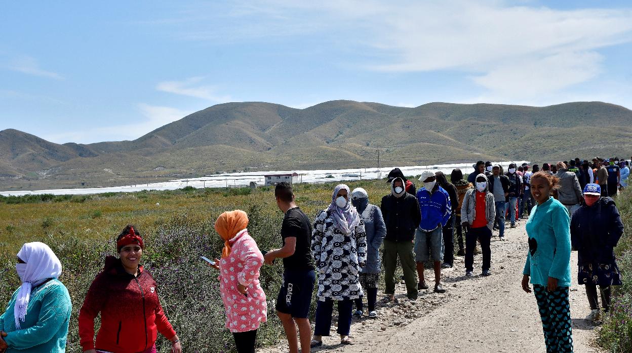 Cientos de inmigrantes guardan cola para ser atendidos por voluntarios de la Cruz Roja en Níjar