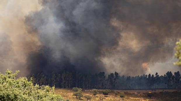 Huelva concentra el 70% de la superficie forestal arrasada por incendios en Andalucía