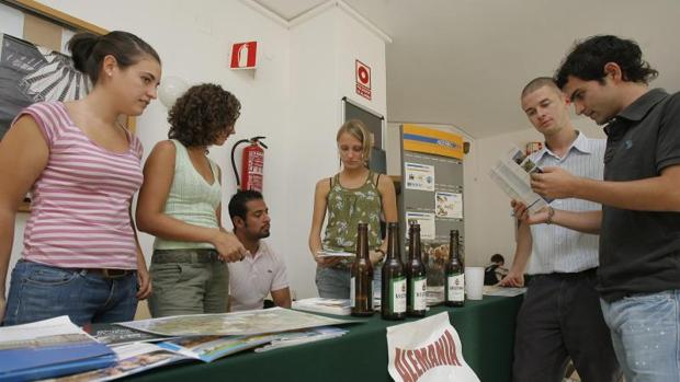 La Universidad de Córdoba, entre las diez de España con más movilidad internacional de alumnos y docentes