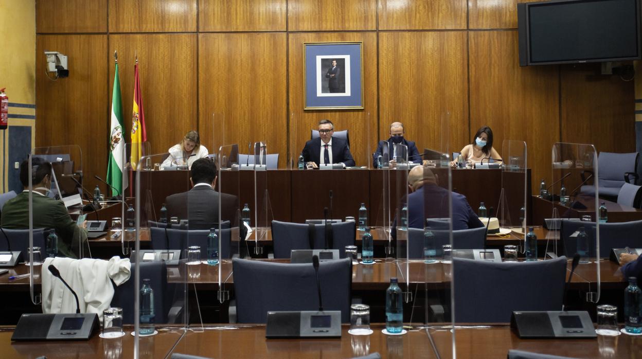 Imagen de la presentación del dictamen en el Parlamento de Andalucía