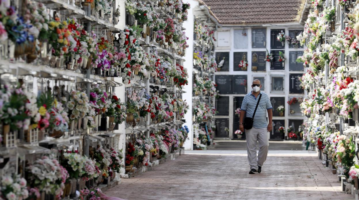 Un hombre en el cementerio de San Rafael de Córdoba