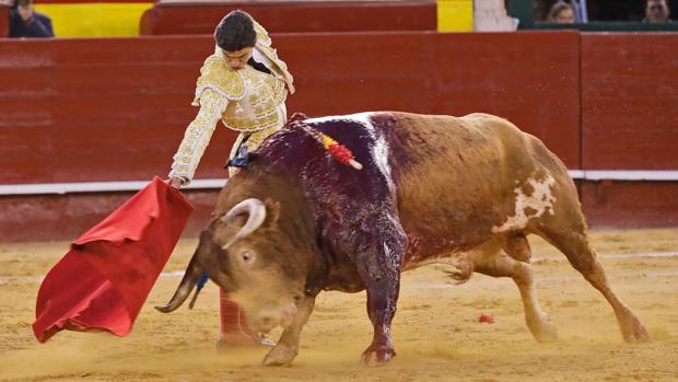 La presencia de Pablo Aguado en la corrida del 12 de octubre en Córdoba, en jaque por una lesión