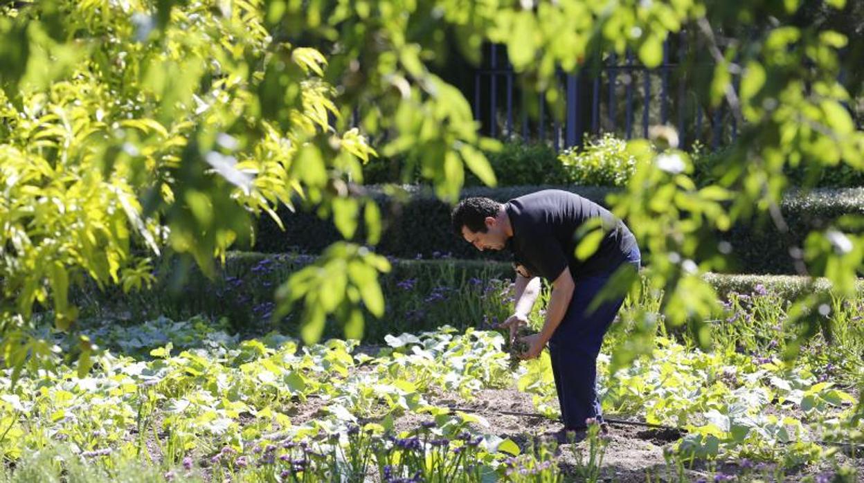 Un trabajador del Jardín Botánico, en una imagen de archivo