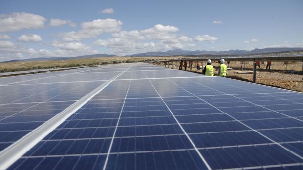 Impulsan la creación de cuatro plantas solares en Guadalcázar y Puente Genil