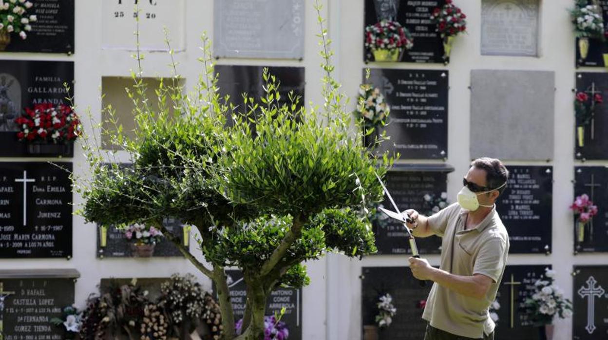 Un jardinero en un cementerio de Córdoba capital