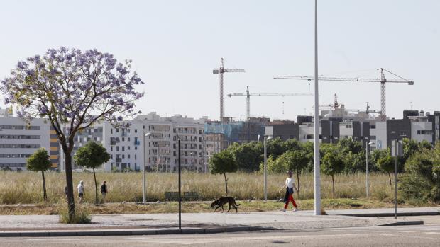 La pandemia provoca un revés en la compraventa de viviendas en Córdoba: casi mil operaciones menos