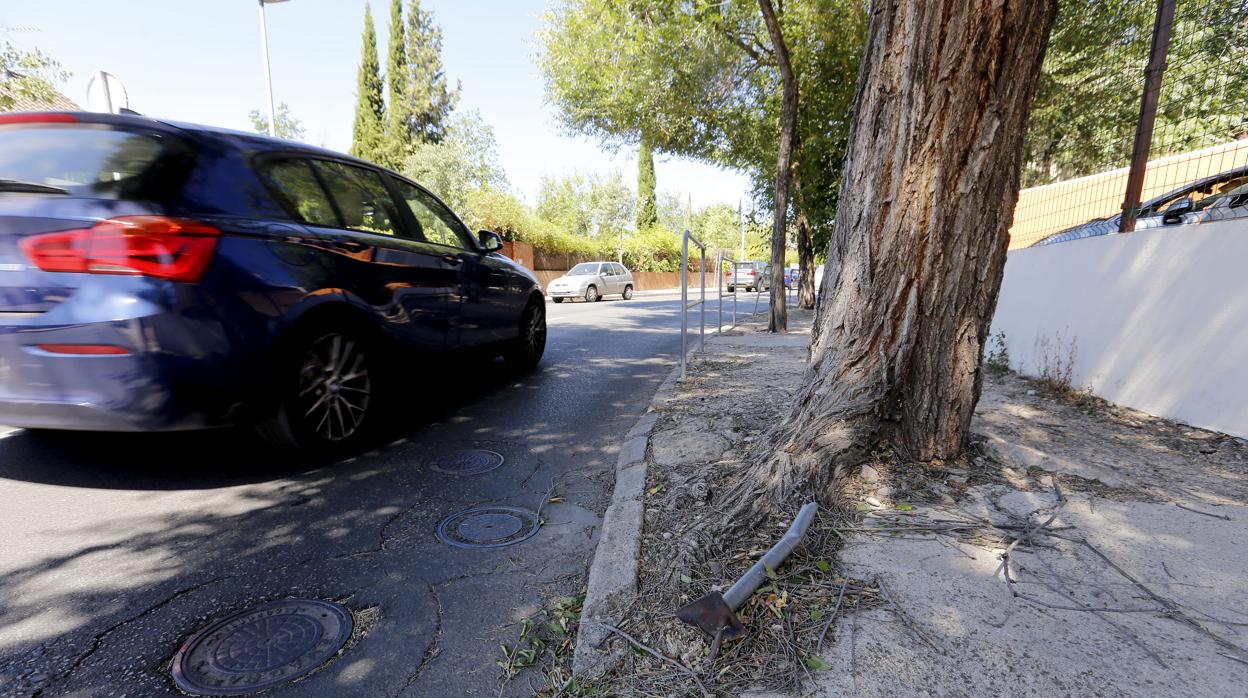 Acera de la carretera de las Ermitas dañadas por las raíces de los árboles