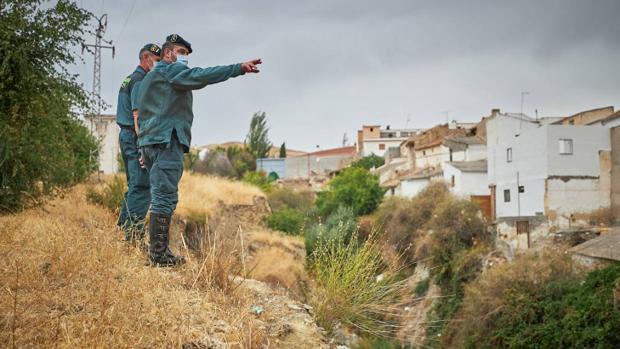 El Ayuntamiento de Ventas dice ahora que desconoce si el felino que busca la Guardia Civil es una pantera