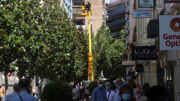 Córdoba perderá 44.157 ciudadanos desde ahora hasta 2035