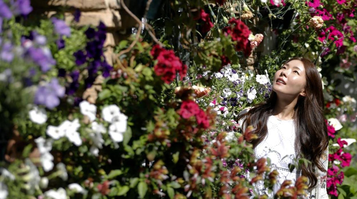 Una turista en un patio durante la pasada edición