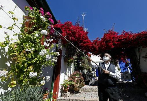 Todo lo que necesitas saber sobre los Patios de Córdoba 2020