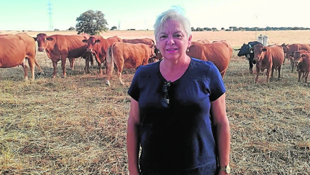 Pilar Gómez, presidenta de Amcae: «La presencia de la mujer en el campo de Córdoba ha crecido mucho»