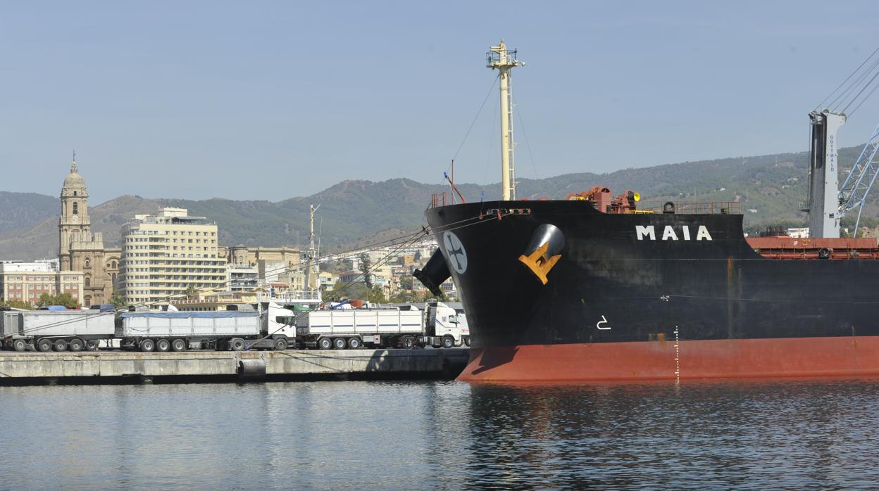 Camiones hacen cola para ser cargados en el Puerto de Málaga