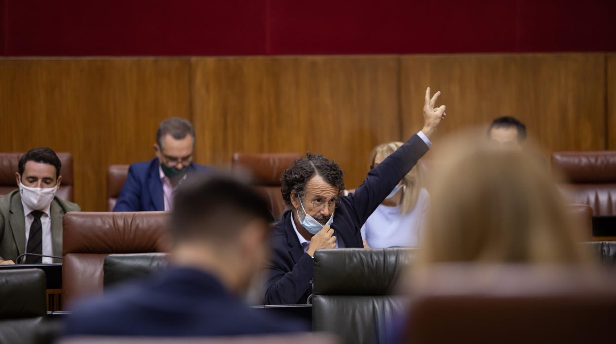 Los diputados del Parlamento, ante una votación