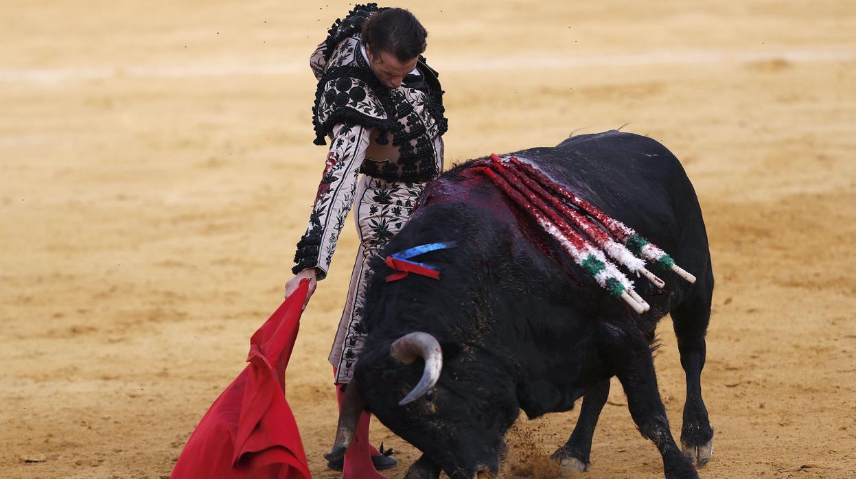 Finito de Córdoba, con «Doctor», el toro al que ha indultado en Antequera