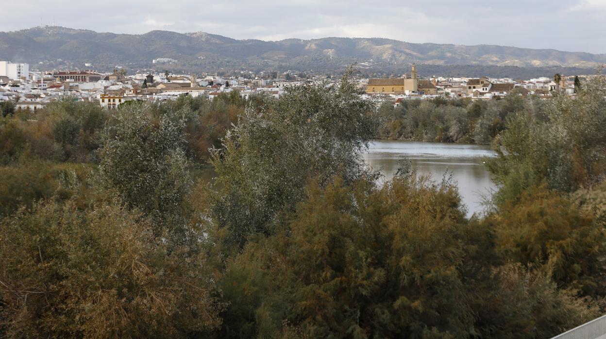 Imagen de la vista del río Guadalquivir a su paso por Córdoba