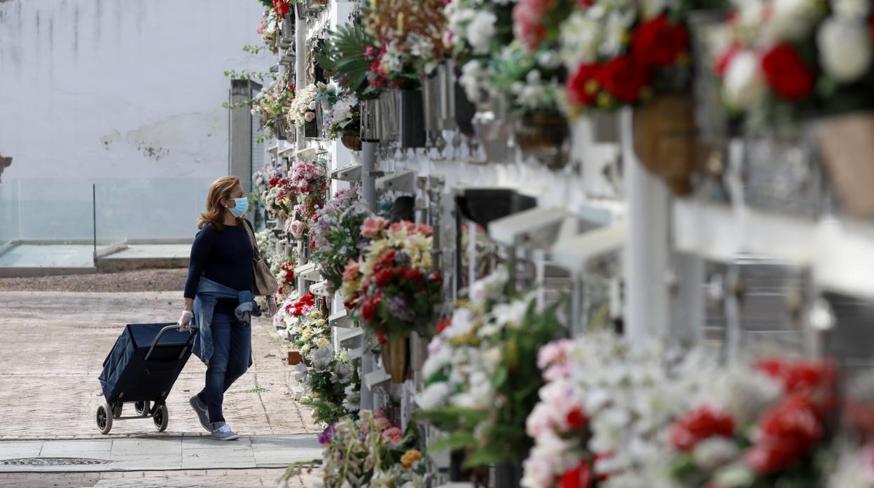 Una mujer, en el cementerio de San Rafael de Córdoba