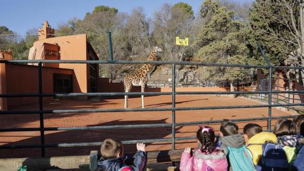 El Ayuntamiento cambiará el nombre del zoológico de Córdoba