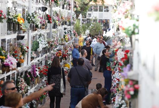 Día de Todos los Santos | Todo lo que necesita saber para ir a los cementerios de Córdoba