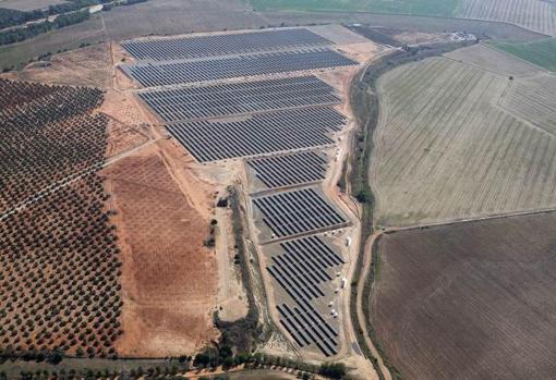 Vista aérea de un huerto solar en El Carpio