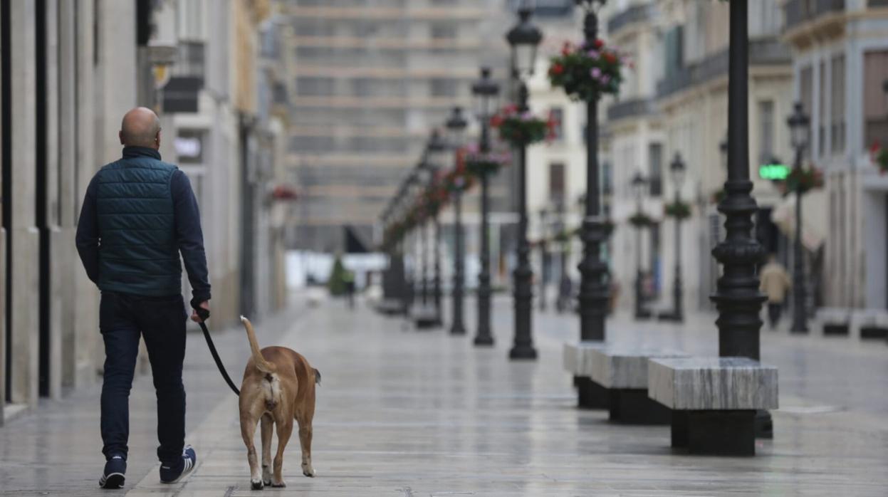Un hombre pasea a su perro por la calle Larios de Málaga