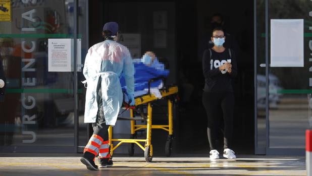 Córdoba registra otro fuerte aumento de los casos, con 515, y cuatro fallecidos más