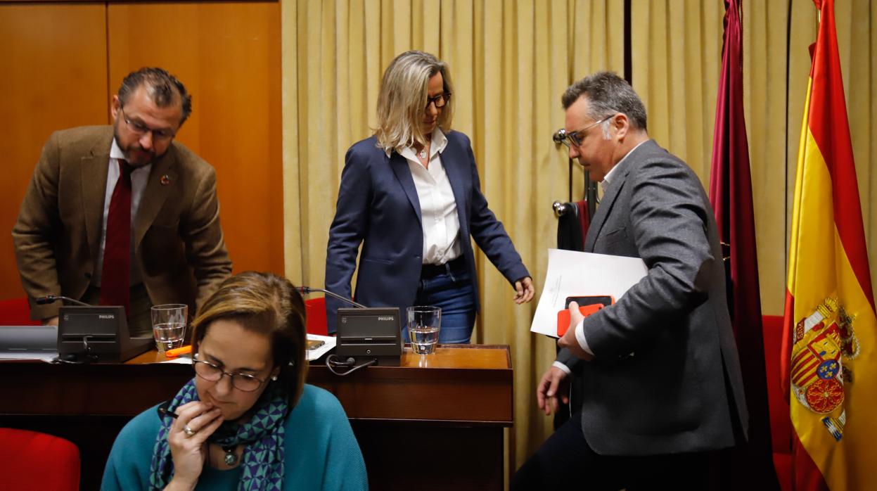 Manuel Torrejimeno, en el Pleno del Ayuntamiento de Córdoba en que anunció las querellas