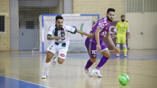 El Córdoba Patrimonio quiere dar un paso al frente hacia la permanencia ante el Ribera Navarra