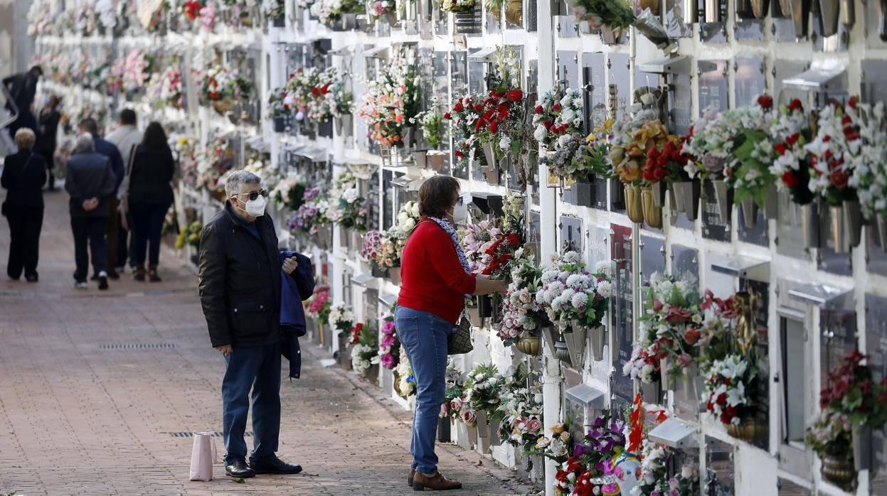 Imagen del cementerio de San Rafael de Córdoba