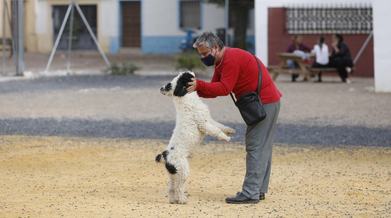 Un hombre pasea a su perro en un parque