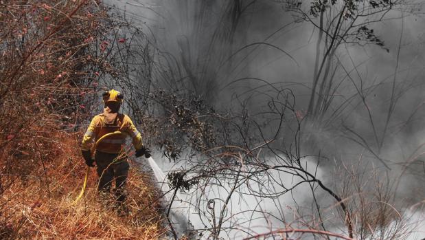 Un juez de Granada investiga a bomberos del Infoca con títulos falsos