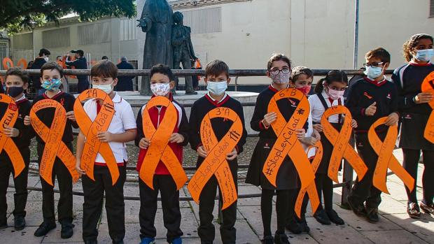 La educación concertada y privada de Andalucía protesta contra el ataque de la Ley Celaá