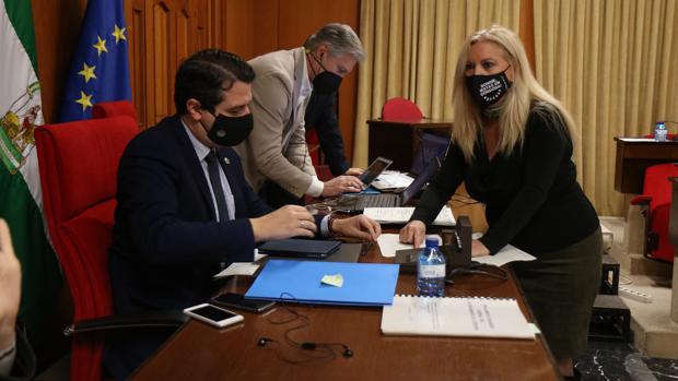 Todas los grupos del Pleno de Córdoba, salvo Vox, aprueban gastar 14 millones para fondos «antiCovid»