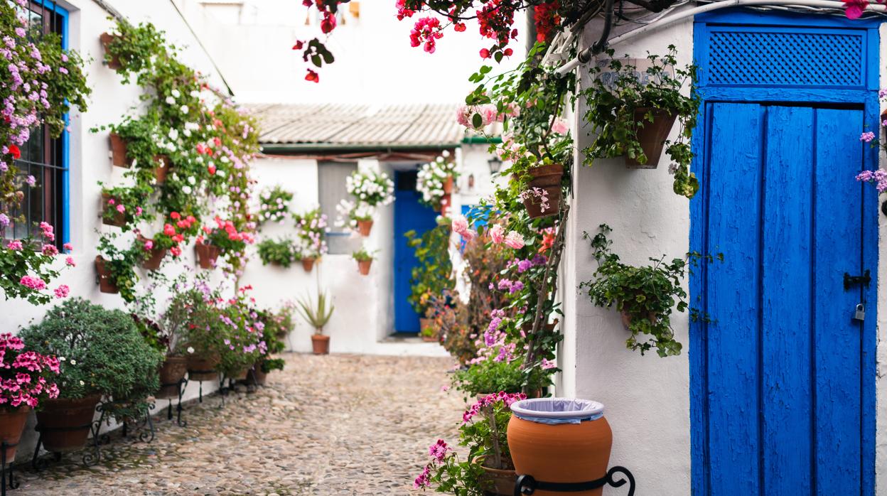 Patios de Córdoba